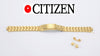 12mm CITIZEN Ladies Stainless Steel Gold Plated Watch Band Bracelet
