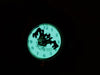 Looney Tunes TAZ Tasmanian Devil by Armitron with Instalite Night Vision Dial - Forevertime77